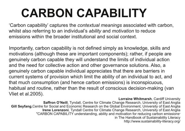 carbon capability